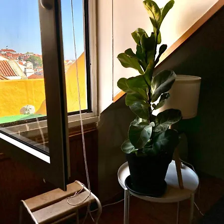 Apartment Parliament Ficus Lisbon
