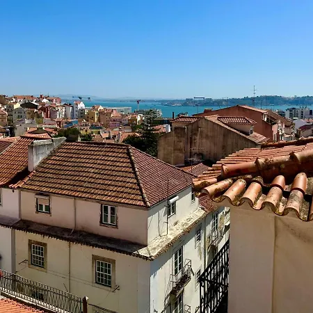 Parliament Ficus * ליסבון