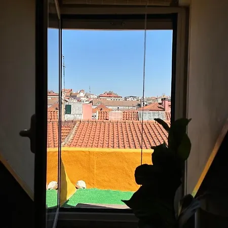 Apartman Parliament Ficus *