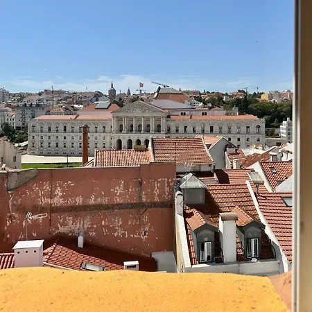Parliament Ficus Daire Lisboa